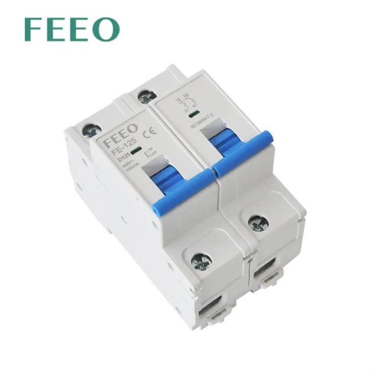 80A 100A 125A 2P AC Mini Circuit Breaker AC MCB